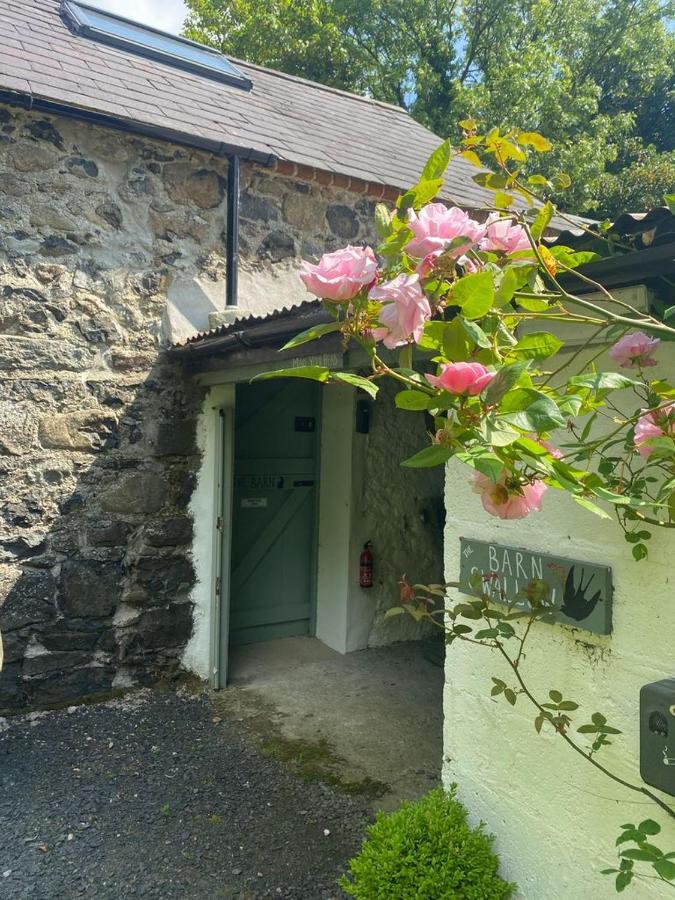 Duneden Belle Glamping Randalstown Bagian luar foto