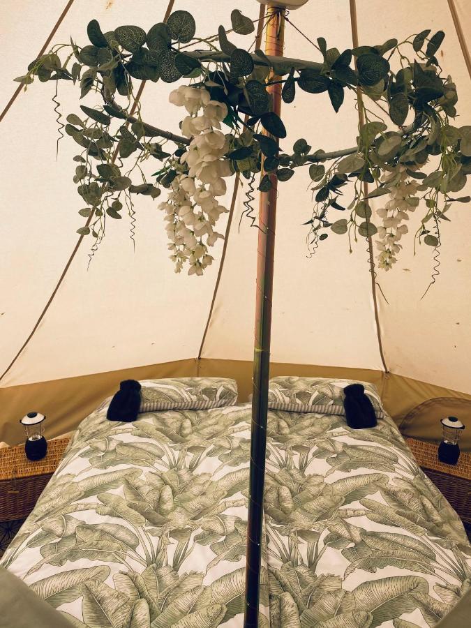Duneden Belle Glamping Randalstown Bagian luar foto