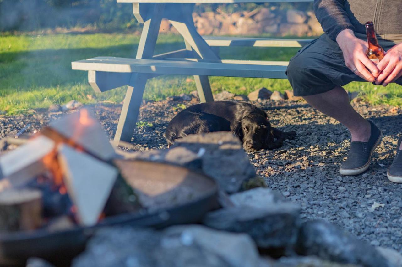 Duneden Belle Glamping Randalstown Bagian luar foto